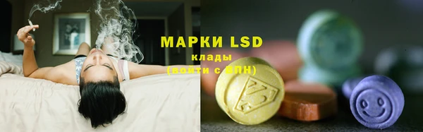 гашик Алзамай