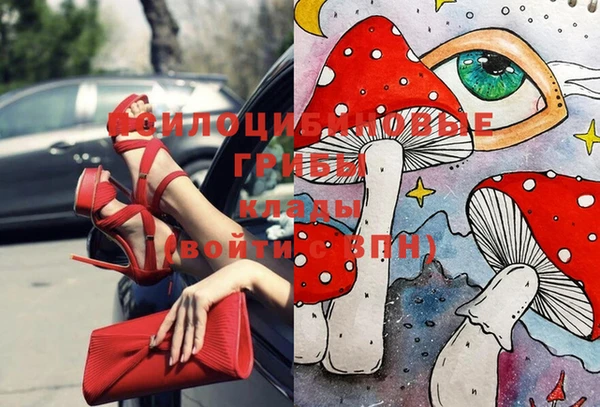 соль ск Алексеевка