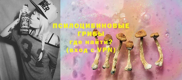 гашик Алзамай