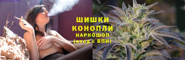твердый Алексин
